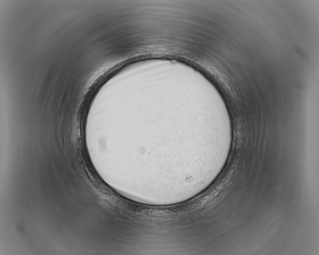 X0000111041070200908061452