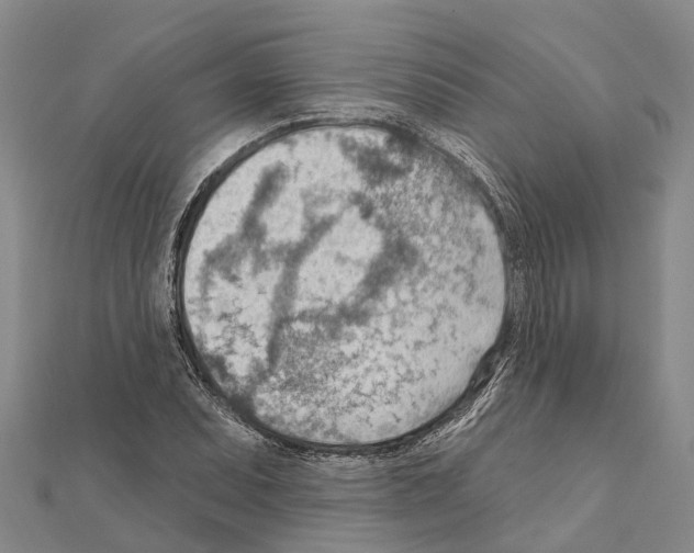 X0000111041071200908061452