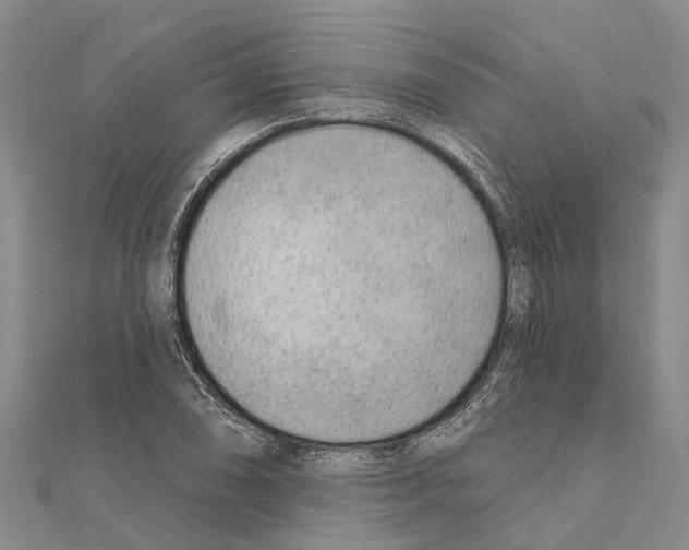 X0000111041074200908061452