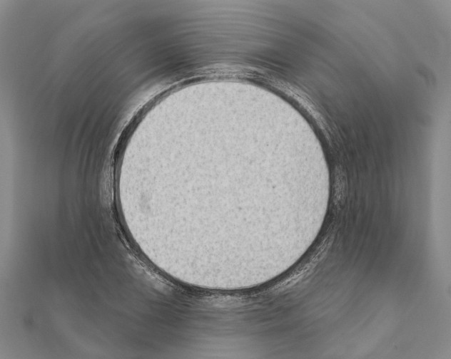 X0000111041075200908061452