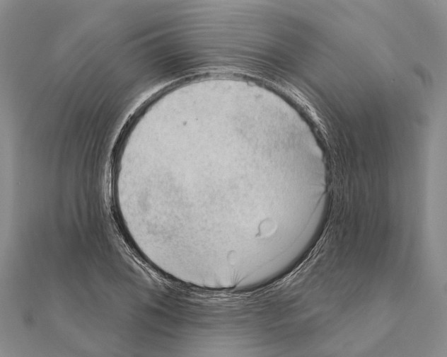 X0000111041076200908061452