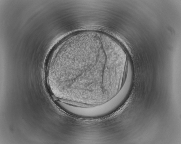 X0000111041077200908061452