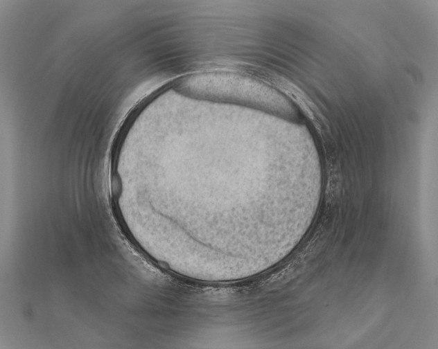 X0000111041080200908061452