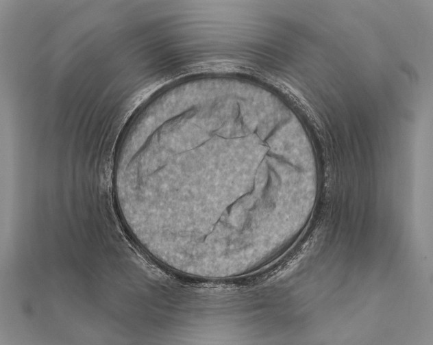 X0000111041081200908061452