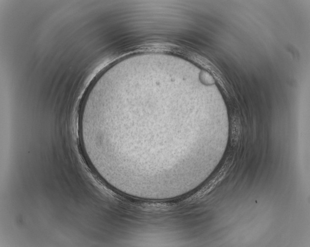 X0000111041083200908061452