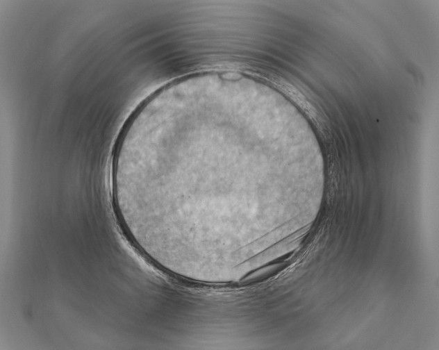 X0000111041084200908061452