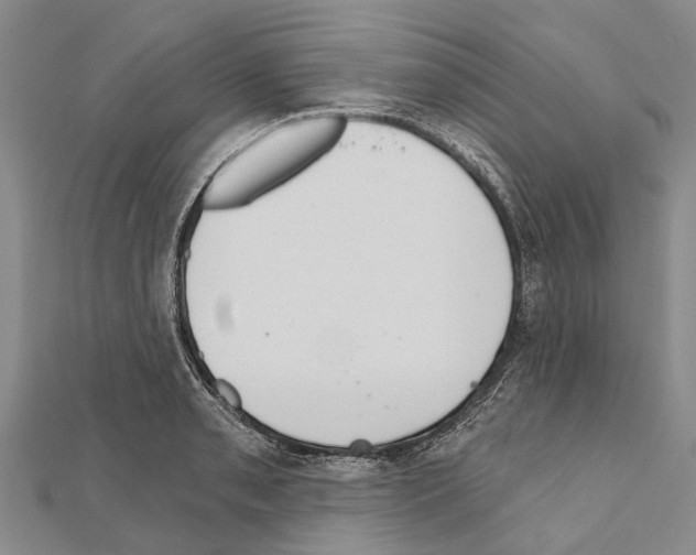 X0000111041085200908061452