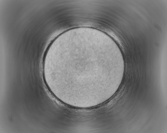 X0000111041088200908061452