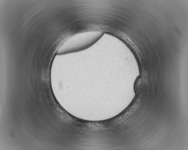 X0000111041089200908061452