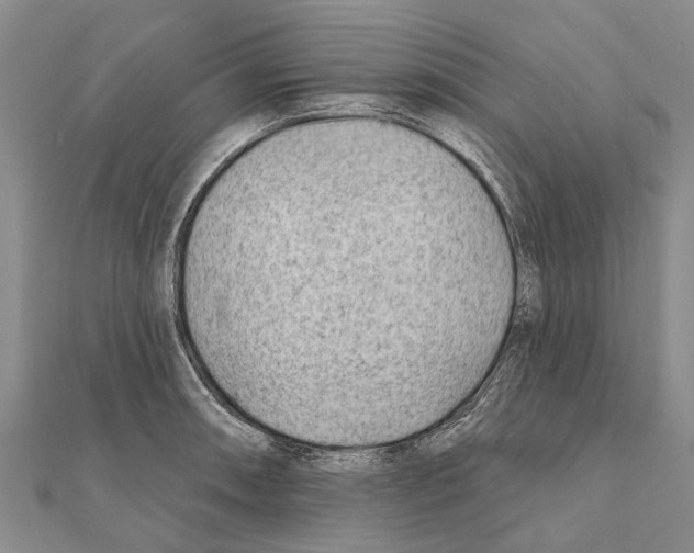 X0000111041090200908061452