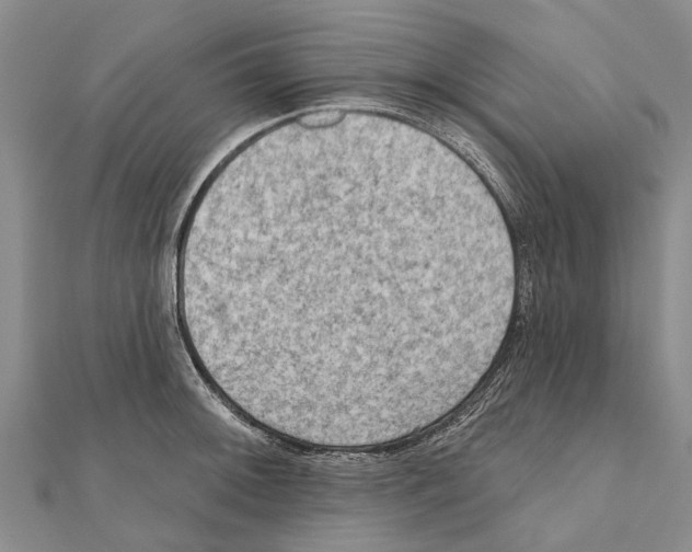 X0000111041092200908061451