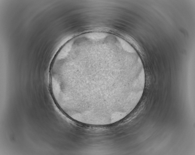 X0000111041095200908061451