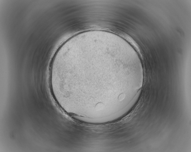 X0000111041096200908061451