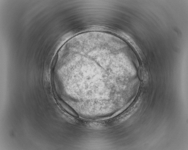 X0000111041097200908061451