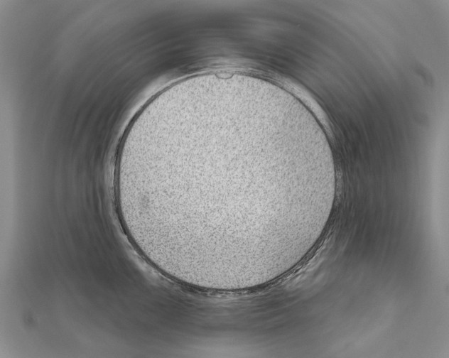 X0000111041099200908061451