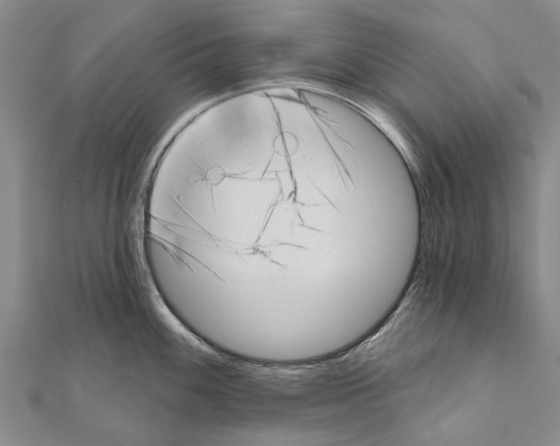 X0000111041100200908061451