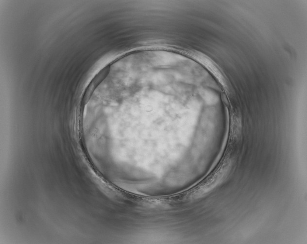 X0000111041101200908061451