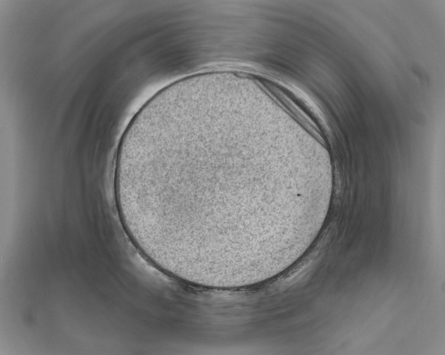 X0000111041102200908061451