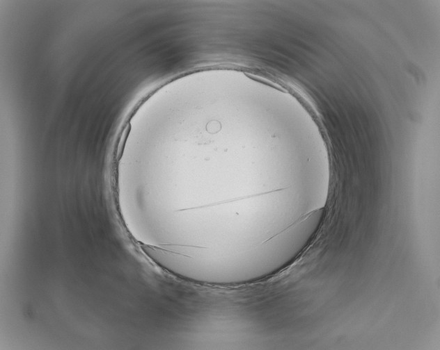 X0000111041104200908061451