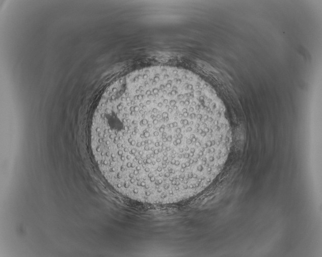 X0000111041105200908061451