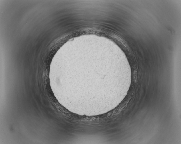 X0000111041111200908061451