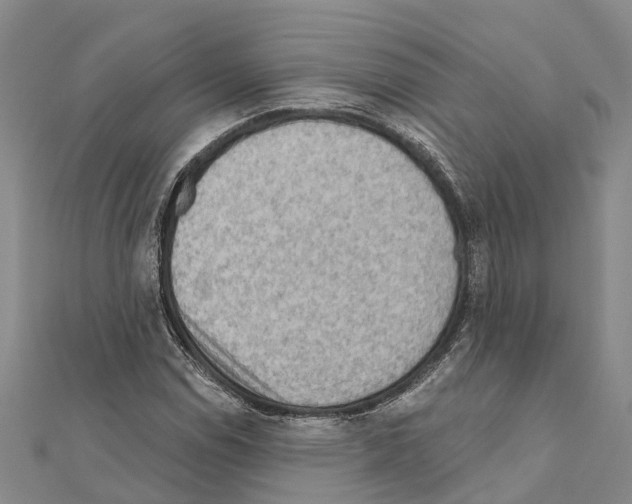 X0000111041114200908061451