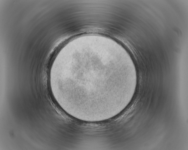 X0000111041115200908061451