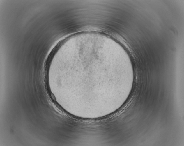 X0000111041116200908061451