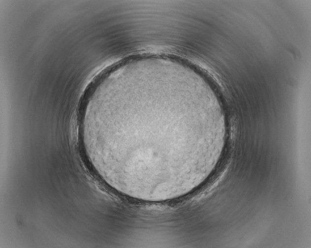 X0000111041117200908061451