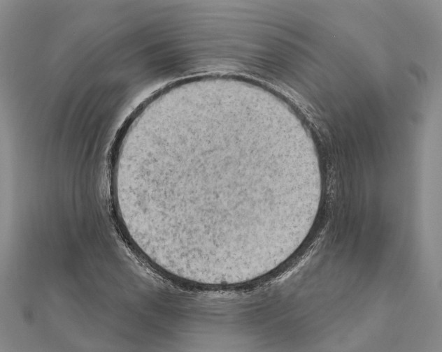 X0000111041118200908061451