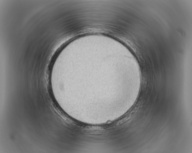 X0000111041119200908061451