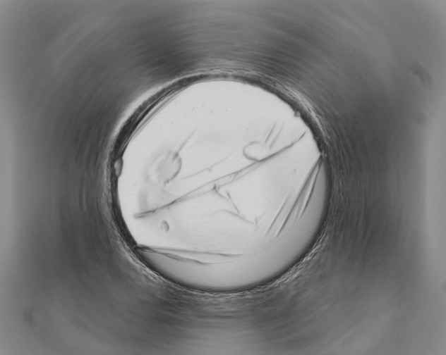 X0000111041120200908061451