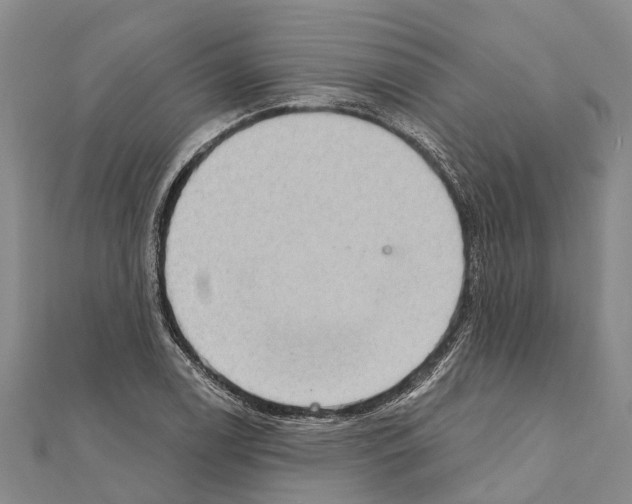 X0000111041122200908061451