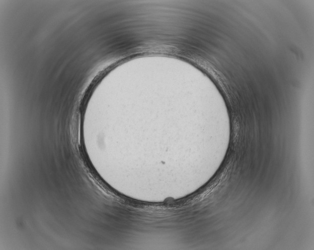 X0000111041123200908061451