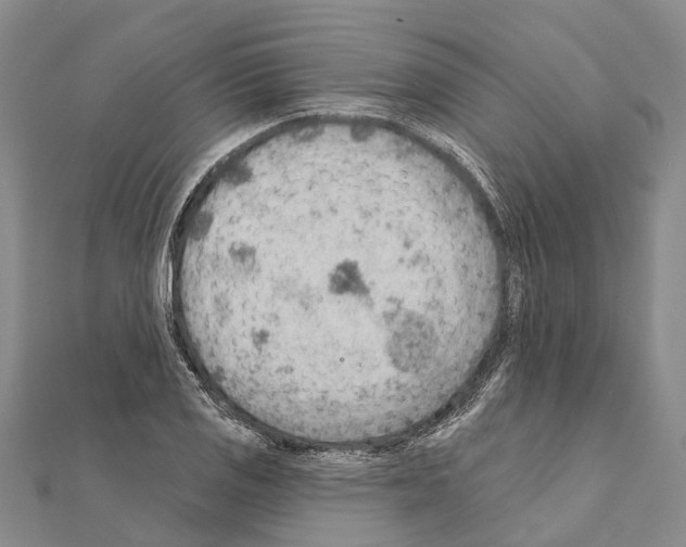 X0000111041125200908061451