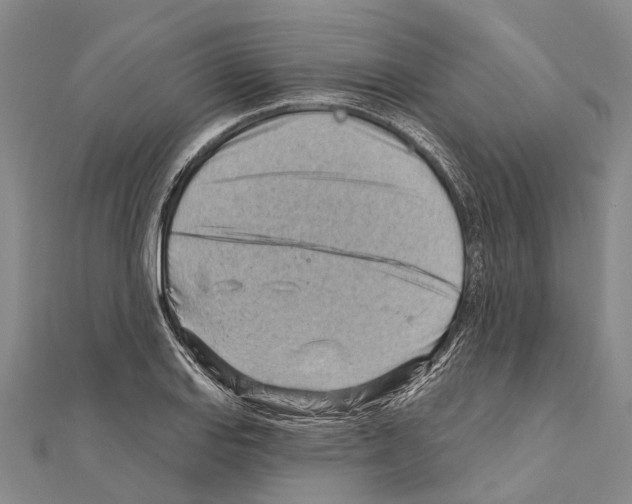 X0000111041127200908061451