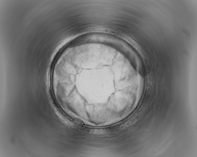 X0000111041128200908061451