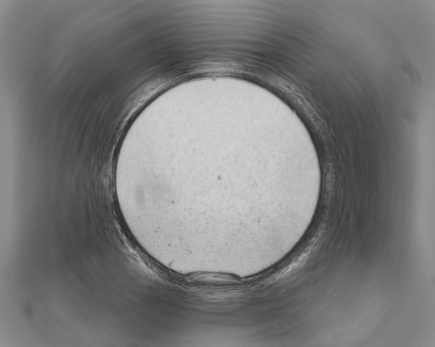 X0000111041129200908061451