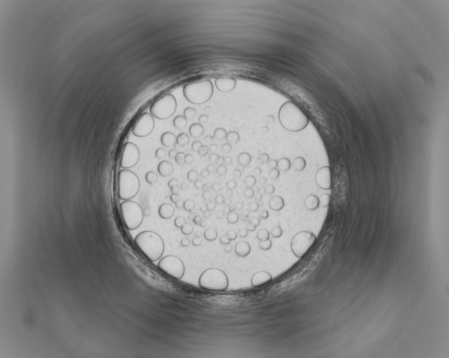 X0000111041130200908061451