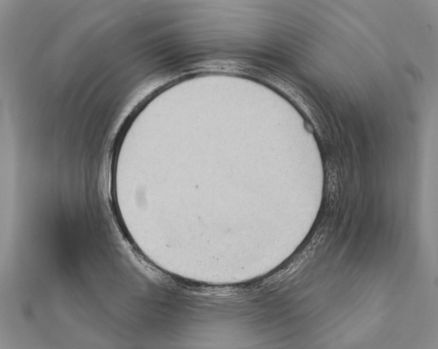 X0000111041131200908061451