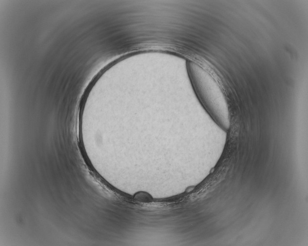 X0000111041132200908061451