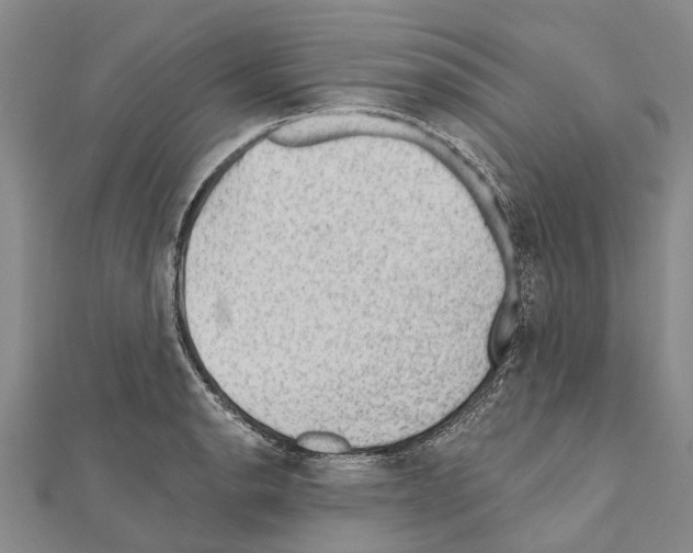 X0000111041134200908061451