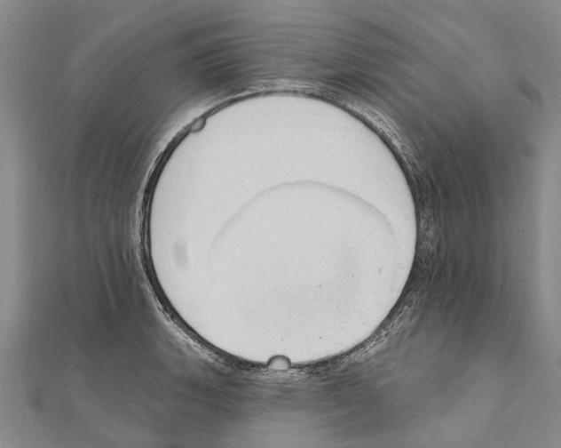 X0000111041135200908061451