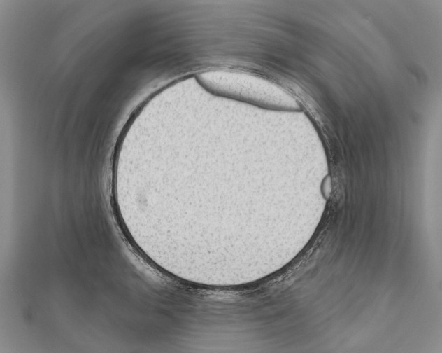 X0000111041136200908061451