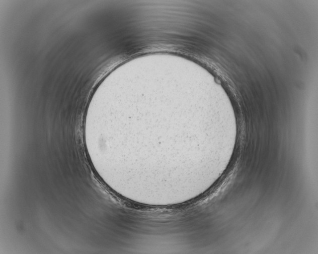 X0000111041137200908061451