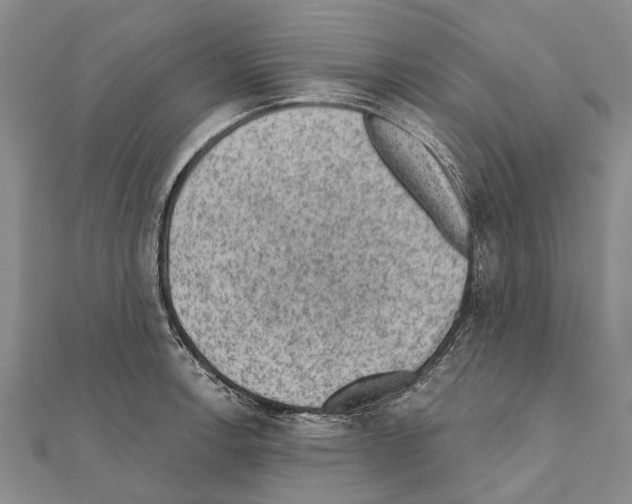 X0000111041138200908061451