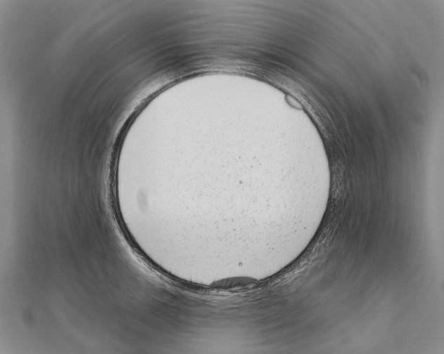 X0000111041139200908061451