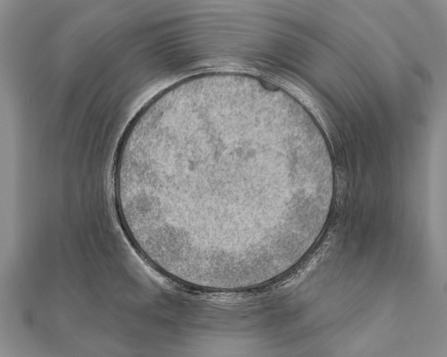 X0000111041141200908061451