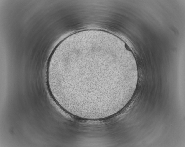 X0000111041142200908061451