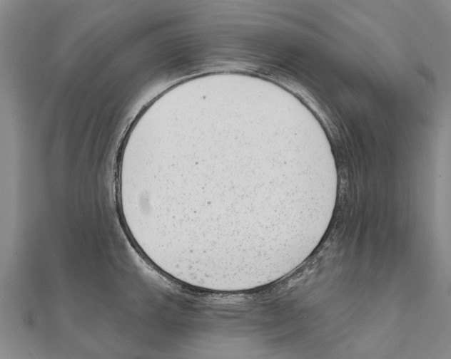 X0000111041143200908061451